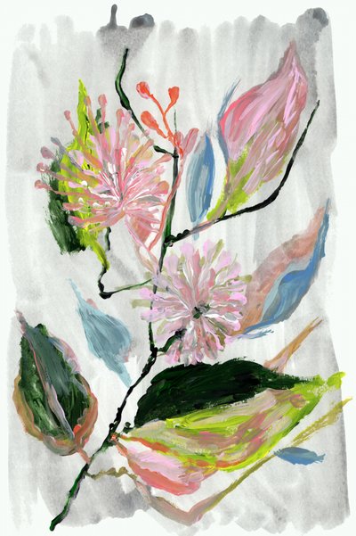 Abstrakta rosa blommor av cartissi