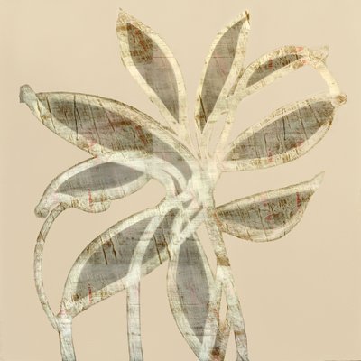 Abstrakta texturerade blad av cartissi