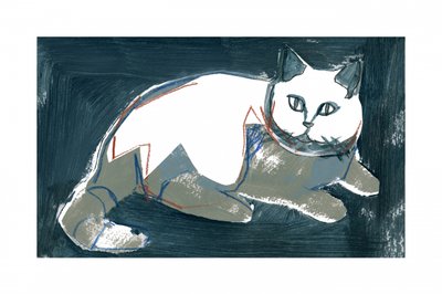 Konstnärlig vit katt av cartissi