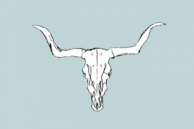 Desert Bull Skull av cartissi