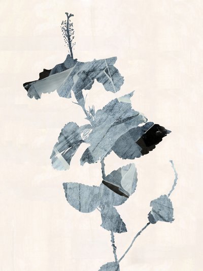 Hibiskusblomma – abstrakt av cartissi