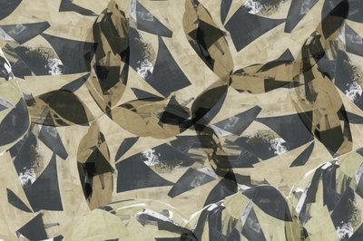 Geometriska blad i flera lager av cartissi