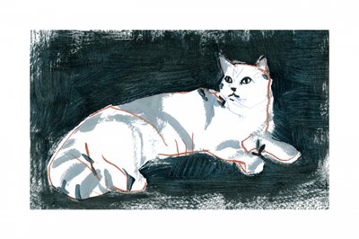 Den liggande vita katten av cartissi