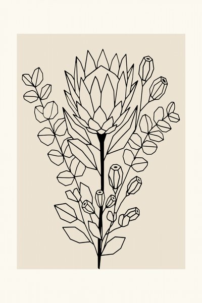 Minimalistisk protea och eukalyptus av cartissi
