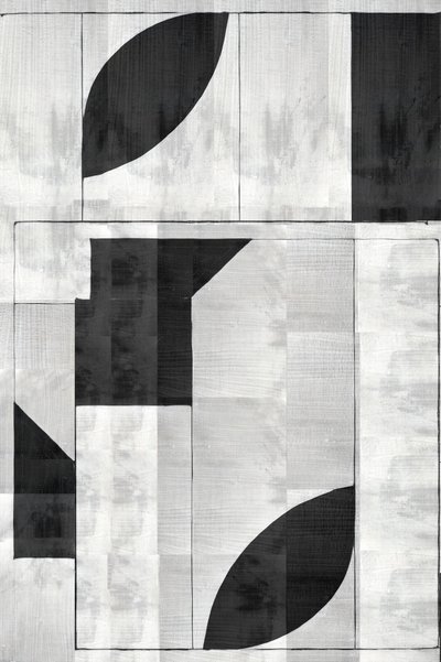 Modernt geometriskt monokromt av cartissi