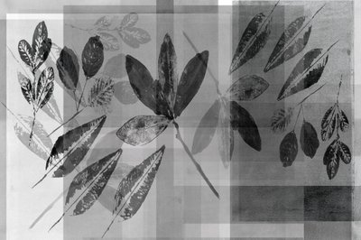 Monokroma botaniska lager av cartissi