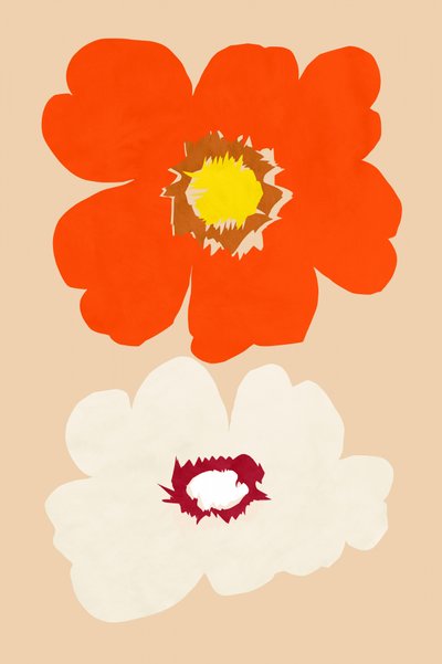 Orange och vita blommor av cartissi