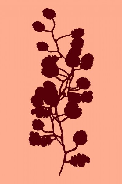 Persikans botaniska silhuett av cartissi