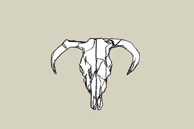 Rustic Bull Skull av cartissi