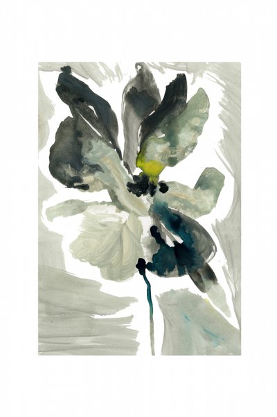 Lugn akvarellblomma av cartissi