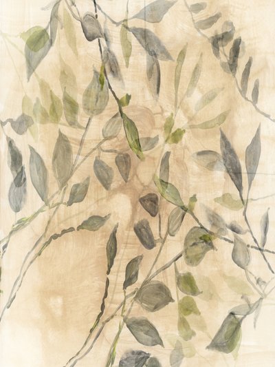 Mjuka botaniska blad av cartissi