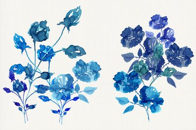 Akvarell: Blå blommor av cartissi