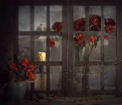 Blommor i det mörka fönstret av chenyi wang