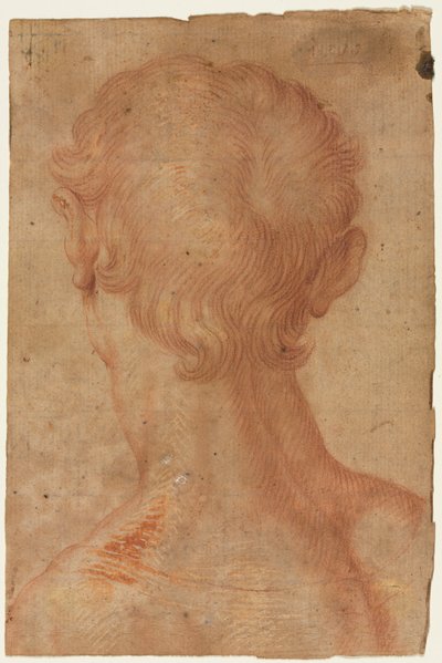 Mans huvud bakifrån av copy after Agnolo Bronzino