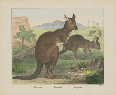 Känguru / Känguru. / Känguru (titel på objekt) av firma Joseph Scholz