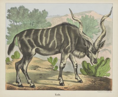 Kudu (titel på objekt) av firma Joseph Scholz