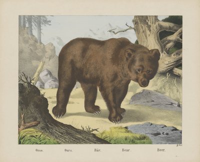 Eller så. / Vårt. / Bär. / Björn. / Öl (titel på objekt) av firma Joseph Scholz