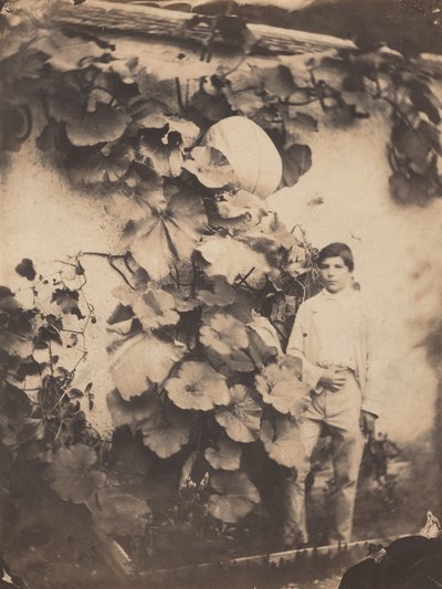 Pojke med en pumpaväxt,1854 (foto) av freres Varin