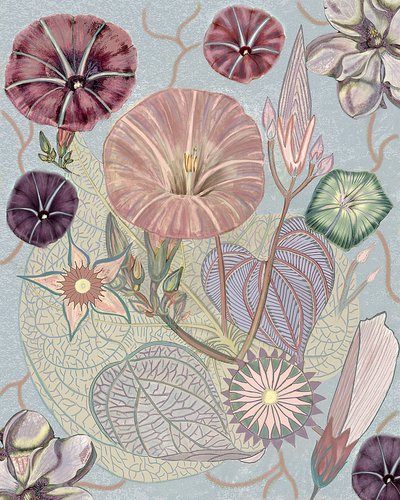 Ömtåliga morgonblommor av giovanna nicolo