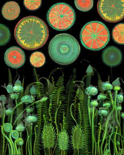 Fantastiska botaniska mönster av giovanna nicolo