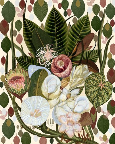 Tropisk botanisk bukett av giovanna nicolo