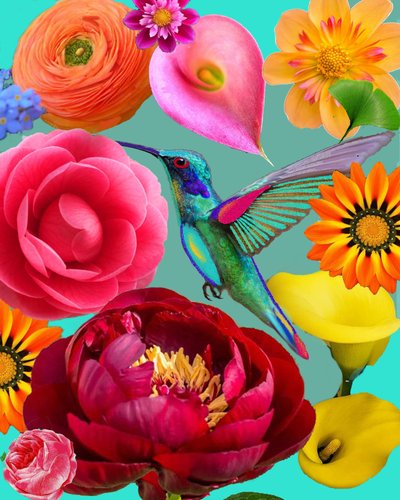 Färgglada blommor och kolibri av giovanna nicolo