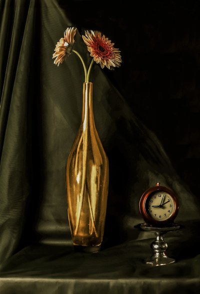  av jlloydphoto
