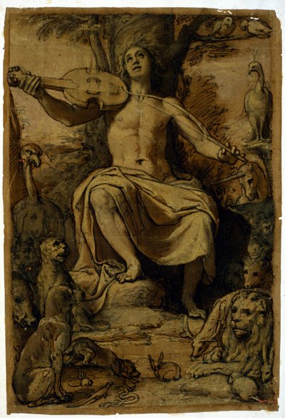 Orpheus förtrollar djuren med musiken från en violin. Teckning av Federico Zuccari (1542 - 1609). av or Zuccaro Federico Zuccari