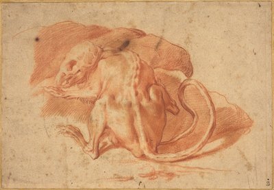 En delvis flådd råtta av possibly Florentine or Roman Italian 16th