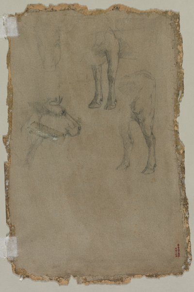 Studier av en tjur (verso) av possibly by Johan Barthold Jongkind