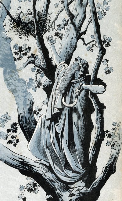 En gallisk druid, som klättrar i en ek för att plocka mistel med sin serpe, upptäcker en liten flicka där. i "" Frankrike, hans berättelse berättad av G. Montorgueil, avbildad av Job"" 1896. Privat samling. av pseudonym for Onfray de Breville Jacques Job