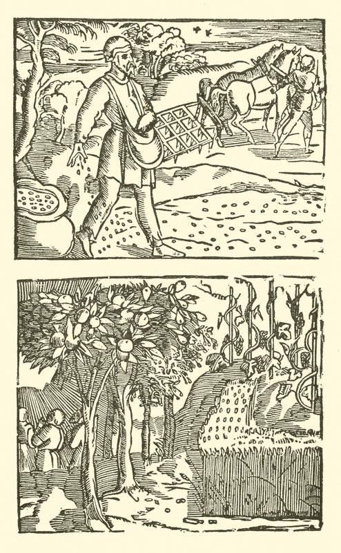 Illustration till The Roxburghe Ballads (träsnitt) av (after) English School