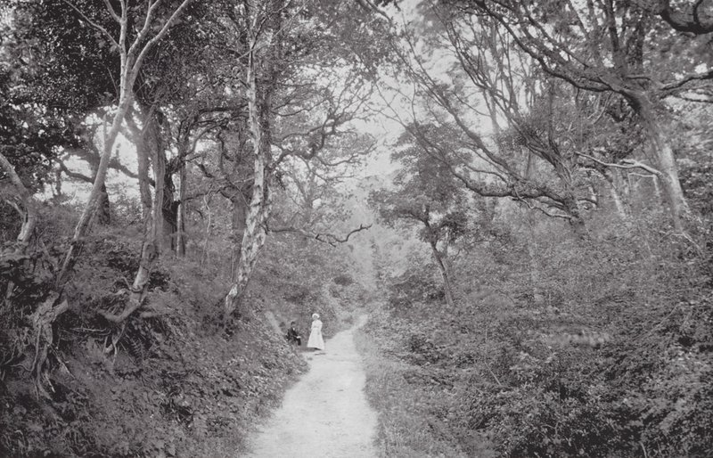Fairlight Glen (svartvitt foto) av (after) English photographer