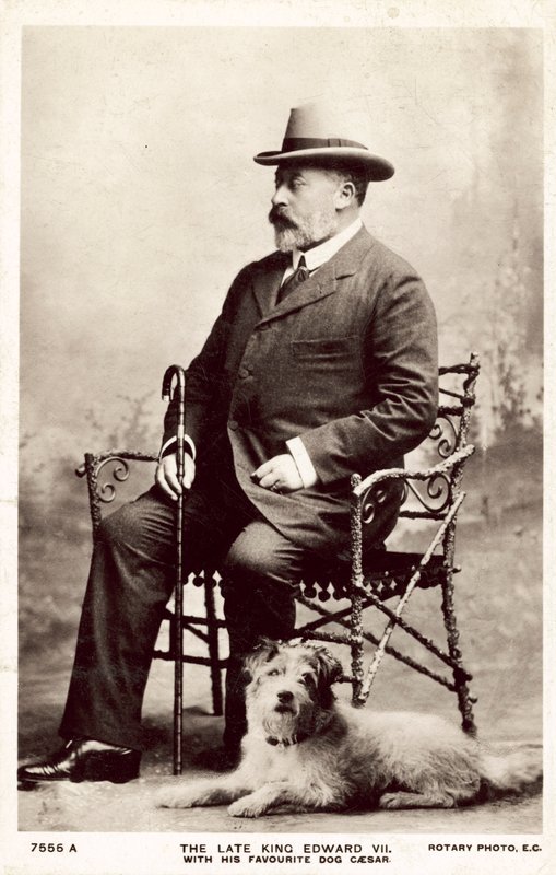 Den avlidne kung Edward VII, med denna favorithund Caesar (s/v foto) av (after) English photographer