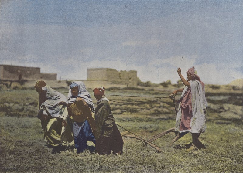 Le Labourage en Kabylie (färgat foto) av (after) French Photographer