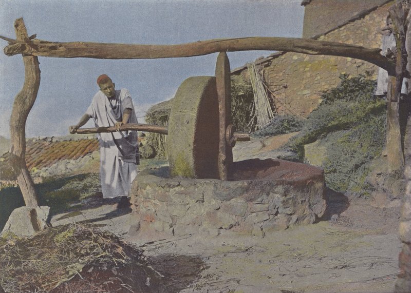 The Arab Mill (färgad bild) av (after) French Photographer