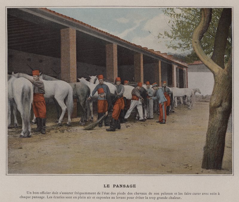 The Grooming (färgad bild) av (after) French Photographer