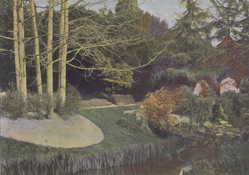 Nantes, Botaniska trädgården (färgad bild) av (after) French Photographer