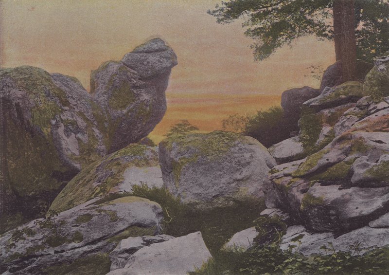 Rochers du mont Ussy (färgad bild) av (after) French Photographer