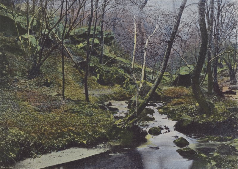 Vaux de Cernay, Les Cascades (färgat foto) av (after) French Photographer