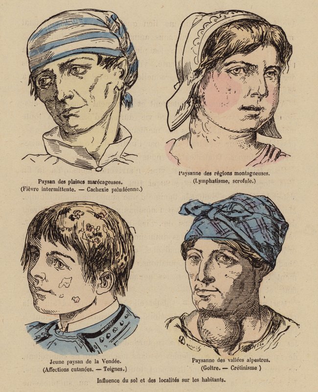 Solens och det geografiska lägets inverkan på människor (kolorerad gravyr) av (after) French School