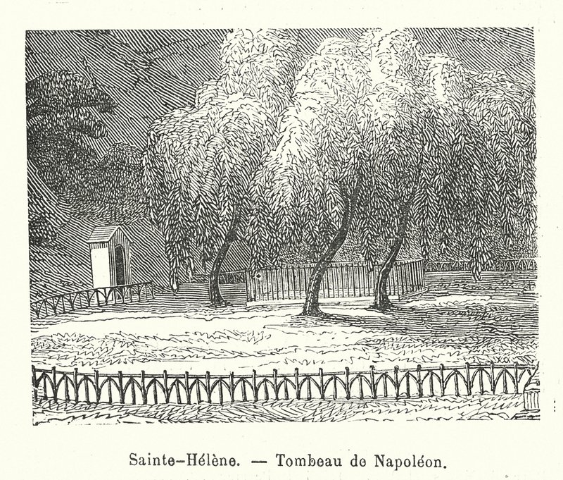Sainte-Helene, Napoleons grav (gravyr) av (after) French School