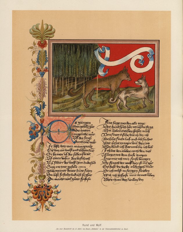 Hund och varg (färglitografi) av (after) German School