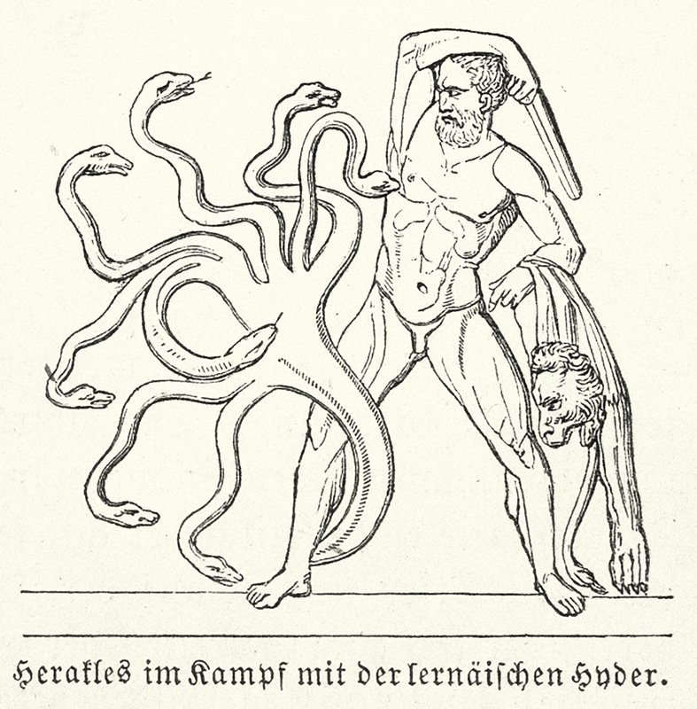 Herakles i kamp mot den lernska hydran (gravyr) av (after) German School