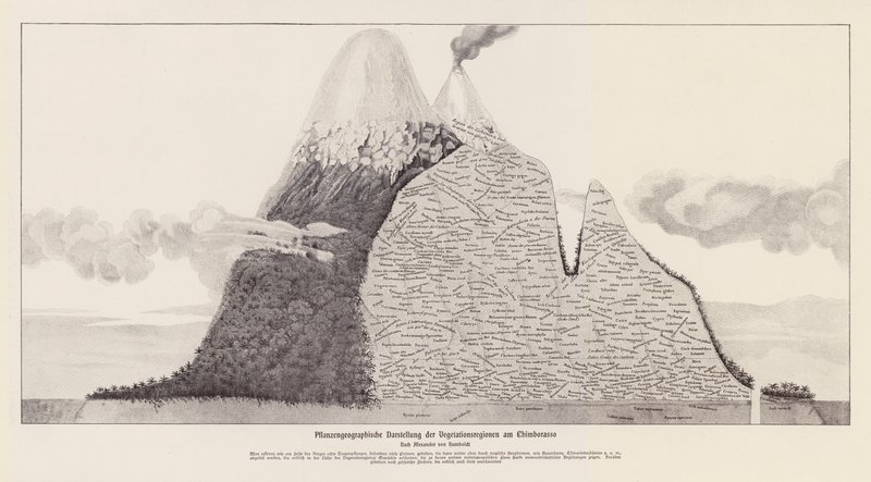 Vegetationsregioner i Chimborazo, Ecuador (litografi) av (after) German School