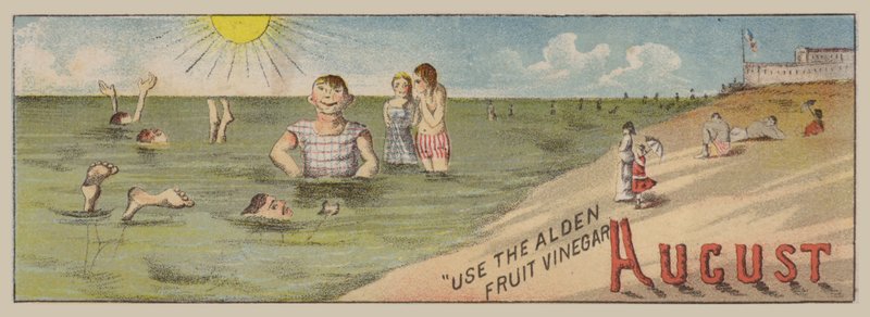 augusti av American School
