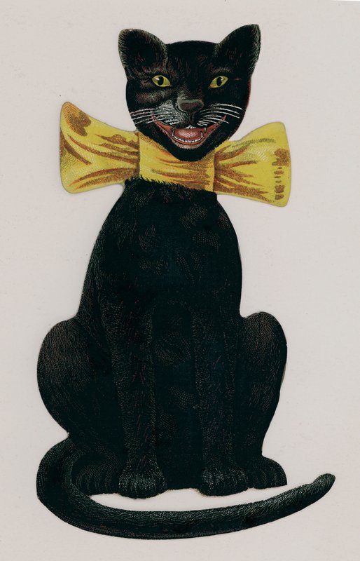 Svart katt som bär en gul rosett av American School