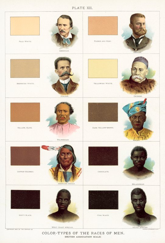 Farben-Typen der Menschenrassen, British Association Skala von American School