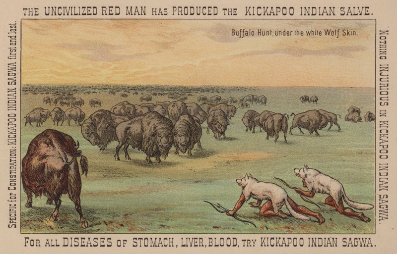 Indianer som bär vita vargskinn och jagar buffel av American School