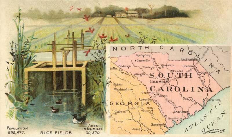 South Carolina, USA av American School